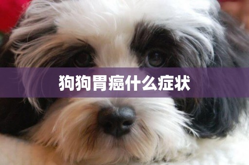 狗狗胃癌什么癥狀