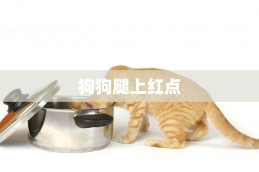 狗狗腿上紅點