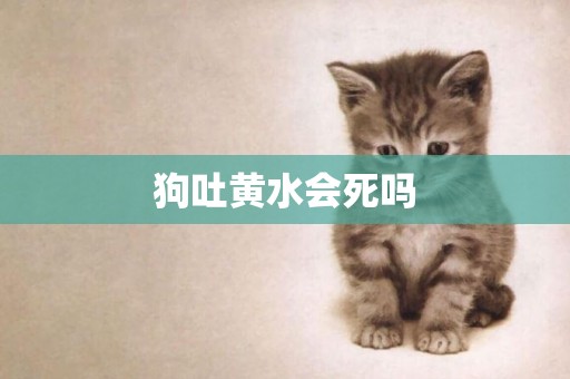 狗吐黃水會死嗎