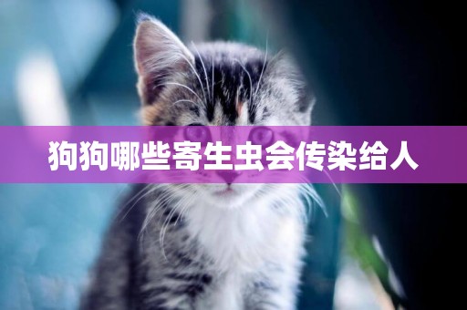 狗狗哪些寄生蟲會傳染給人