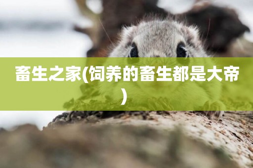 畜生之家(飼養的畜生都是大帝) 