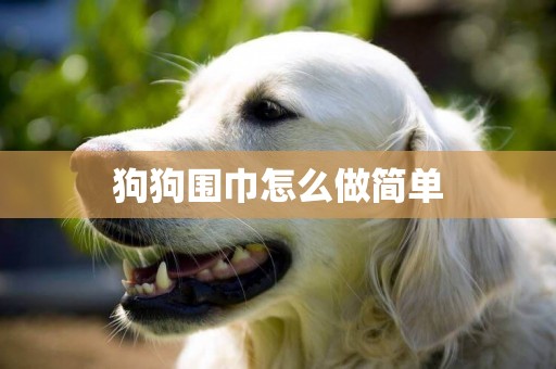 狗狗圍巾怎么做簡單