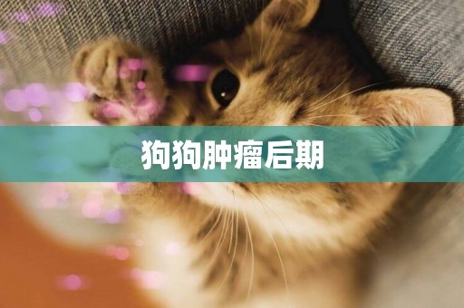 狗狗腫瘤后期