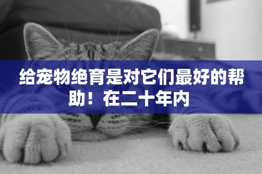 給寵物絕育是對它們最好的幫助！在二十年內 