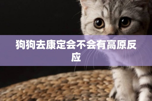 狗狗去康定會不會有高原反應