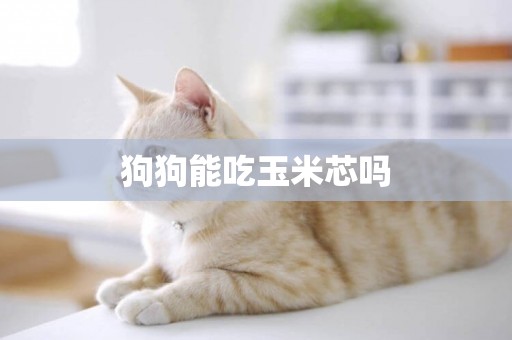 狗狗能吃玉米芯嗎