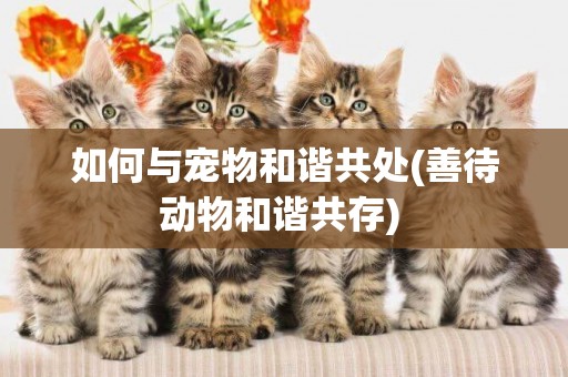 如何與寵物和諧共處(善待動物和諧共存) 