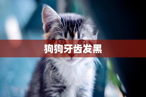 狗狗牙齒發黑