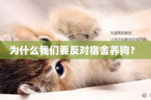 為什么我們要反對宿舍養狗？ 