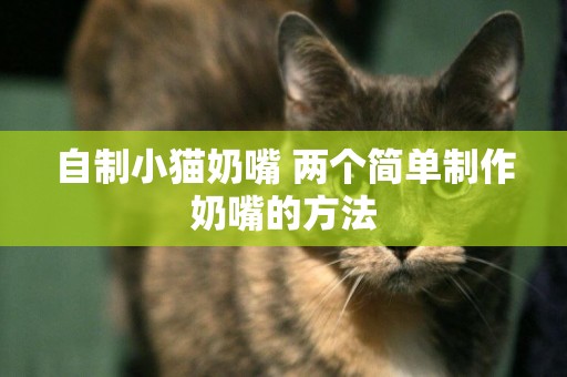 自制小貓奶嘴 兩個簡單制作奶嘴的方法