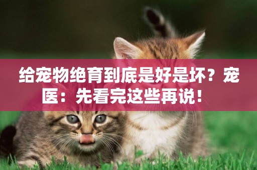 給寵物絕育到底是好是壞？寵醫：先看完這些再說！ 
