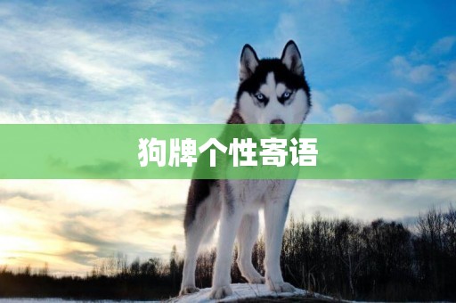 狗牌個性寄語