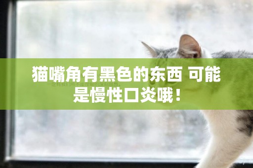 貓嘴角有黑色的東西 可能是慢性口炎哦！