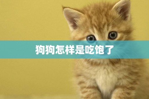 狗狗怎樣是吃飽了