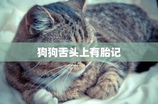 狗狗舌頭上有胎記