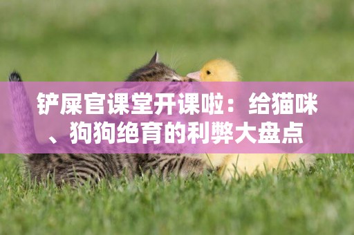 鏟屎官課堂開課啦：給貓咪、狗狗絕育的利弊大盤點 