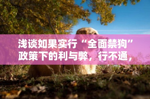 淺談如果實行“全面禁狗”政策下的利與弊，行不通，也不能行 