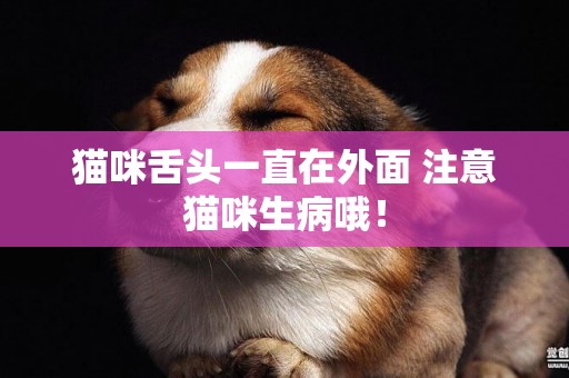 貓咪舌頭一直在外面 注意貓咪生病哦！