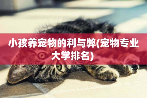 小孩養寵物的利與弊(寵物專業大學排名) 