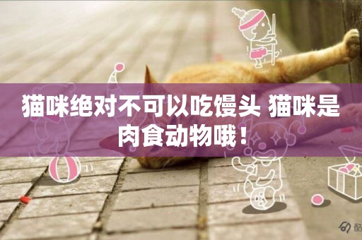 貓咪絕對不可以吃饅頭 貓咪是肉食動物哦！