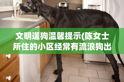 文明遛狗溫馨提示(陳女士所住的小區經常有流浪狗出沒陳女士遛狗時一只體型較大的) 