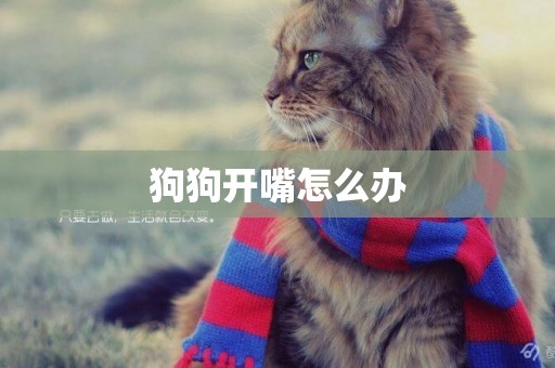 狗狗開嘴怎么辦