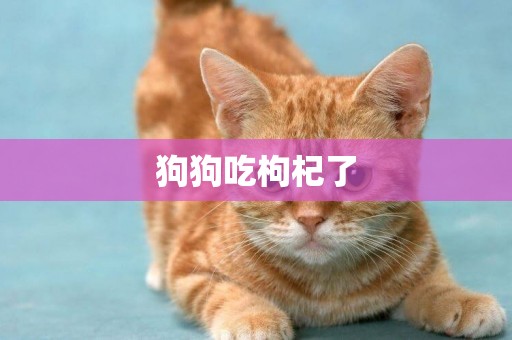 狗狗吃枸杞了