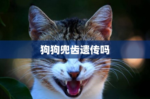 狗狗兜齒遺傳嗎
