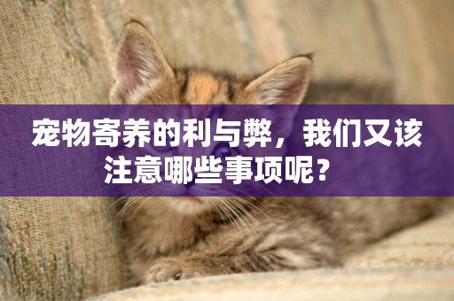 寵物寄養的利與弊，我們又該注意哪些事項呢？ 