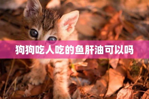 狗狗吃人吃的魚肝油可以嗎