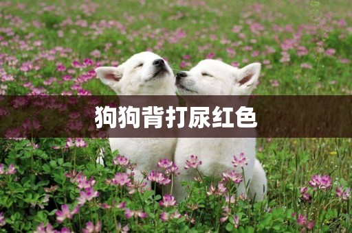 狗狗背打尿紅色