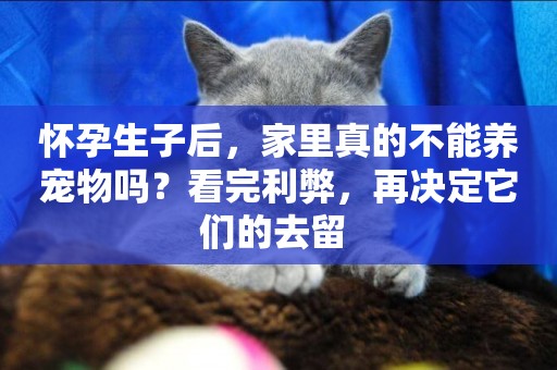 懷孕生子后，家里真的不能養寵物嗎？看完利弊，再決定它們的去留 
