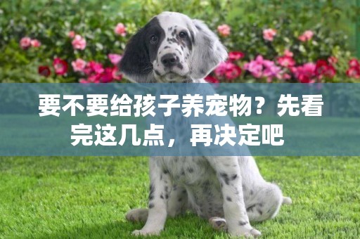 要不要給孩子養寵物？先看完這幾點，再決定吧 