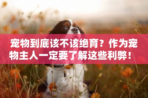 寵物到底該不該絕育？作為寵物主人一定要了解這些利弊！ 