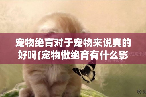 寵物絕育對于寵物來說真的好嗎(寵物做絕育有什么影響) 