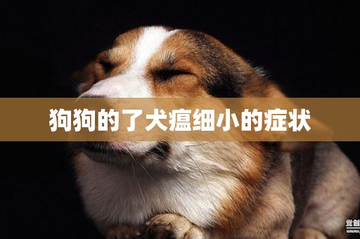 狗狗的了犬瘟細小的癥狀