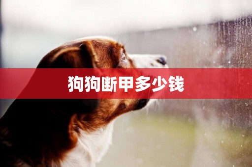 狗狗斷甲多少錢