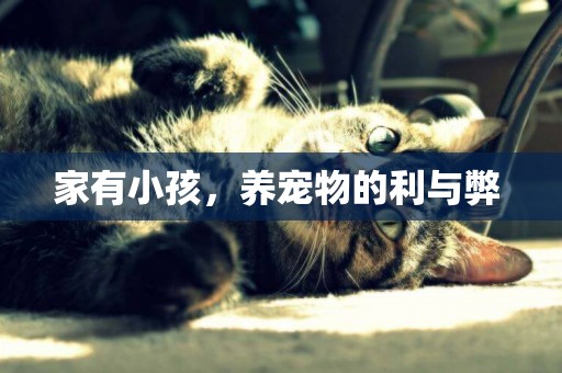家有小孩，養寵物的利與弊 