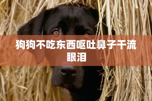 狗狗不吃東西嘔吐鼻子干流眼淚