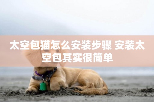 太空包貓怎么安裝步驟 安裝太空包其實很簡單