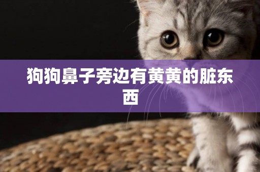 狗狗鼻子旁邊有黃黃的臟東西
