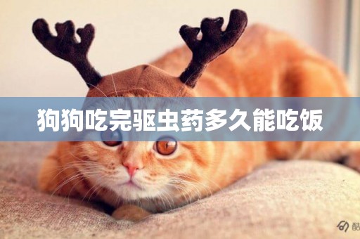 狗狗吃完驅蟲藥多久能吃飯