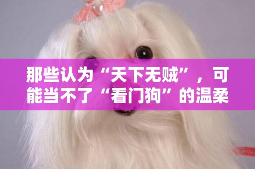 那些認為“天下無賊”，可能當不了“看門狗”的溫柔大塊頭 
