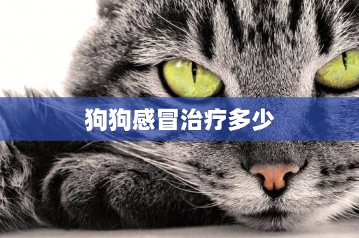 狗狗感冒治療多少