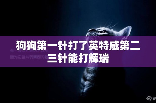 狗狗第一針打了英特威第二三針能打輝瑞