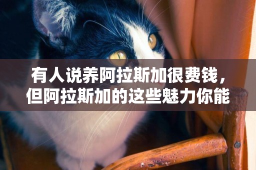 有人說養阿拉斯加很費錢，但阿拉斯加的這些魅力你能懂嗎 
