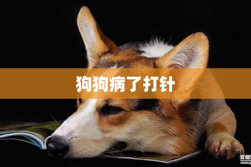 狗狗病了打針