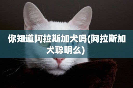 你知道阿拉斯加犬嗎(阿拉斯加犬聰明么) 