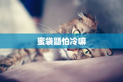 蜜袋鼯怕冷嘛