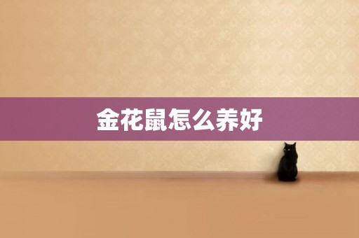 金花鼠怎么養好